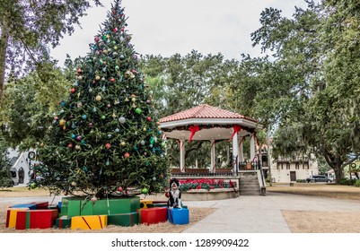 Christmas Tree At St Augustine, Florida