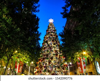 Christmas Tree In Summer, Sydney, NSW, Australia           