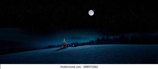 Christmas tree in winter in a snowy landscape in the moonlight - Powered by Shutterstock