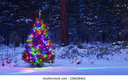 77,027 Christmas tree outside Images, Stock Photos & Vectors | Shutterstock