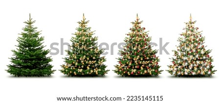 Christmas trees with golden bows