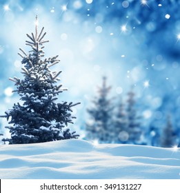 Christmas Winter Background Fir Tree Blurred Stock Photo 349131227 ...