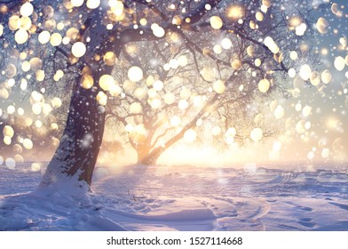 Christmas winter landscape. Glowing bokeh lights of falling snowflakes against frosty tree in sunlight. Xmas background - Shutterstock ID 1527114668