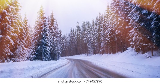 Christmas Winter Landscape, Spruce And Pine Trees Covered In Snow On A Mountain Road