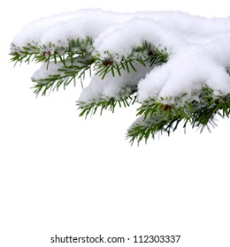 Christmas winter snowy background with spruce branch