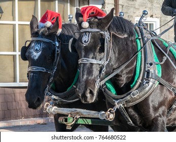 Christmas Work Horses Drawn Carriage
