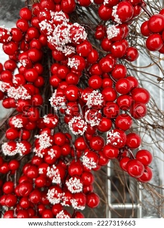 Christmas wreat decoration of fake cranberries covered in snow. The decoratif Christmas crown is the perfect Québec Canada winter decoration to hang on outdoor door during the holidays.