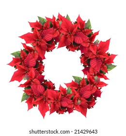 Christmas Wreath From Poinsettia Isolated On White