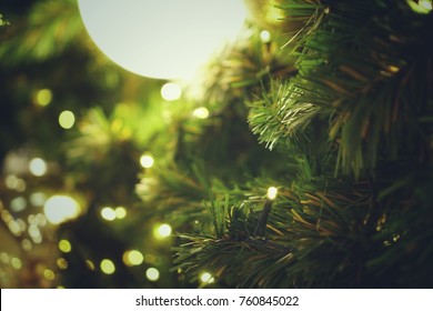 Christmas-tree close up