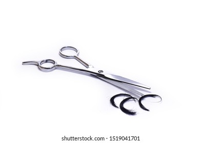 Chrome Haircut Scissors With Scrap Hair Isolated On White Background.