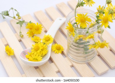 Chrysanthemum