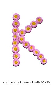 Chrysanthemum alphabet on a white background