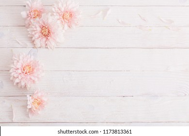 chrysanthemum on white wooden background