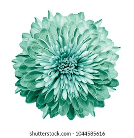 25,489 Flowers without background Images, Stock Photos & Vectors ...