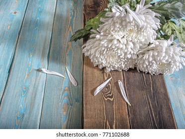 Chrysanthemums on the table