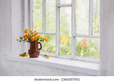 chrysanthemums in  vase on  windowsill in autumn - Powered by Shutterstock