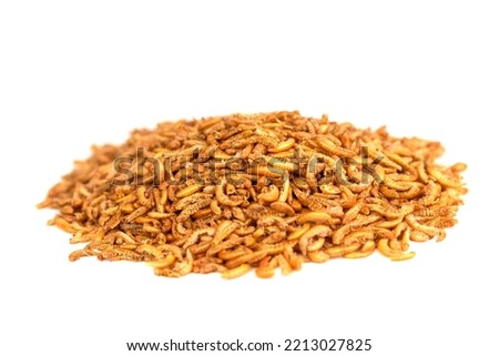 Chubby Dried Gammarus - Siberian Shrimps for Fish 