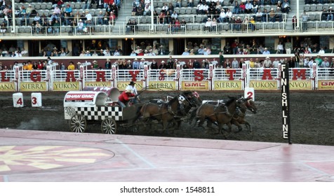 Chuckwagon Races