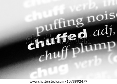 chuffed word in a dictionary. chuffed concept