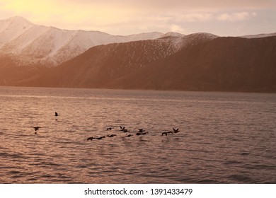 Chukchi Peninsula. Beringia National Park