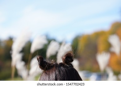 Chun Li Hair Buns Puffball Style