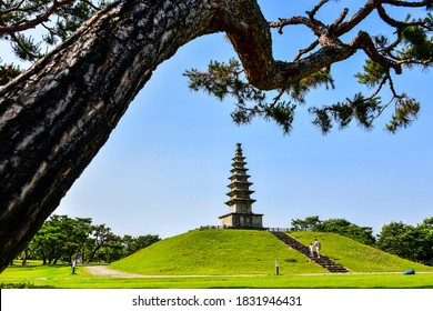 Chungju-si, Chungcheongbuk-do, South Korea - June 14, 2020: A Pine Tree With The Background Of Dad And Daughter Climbing The Stairs Of Seven-storied Stone Pagoda In At Jungang Tower Historical Park
