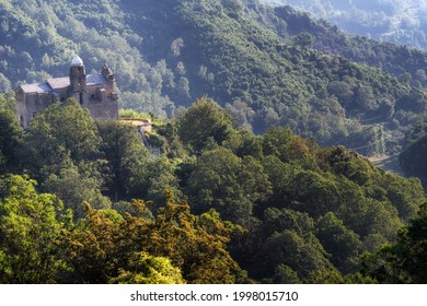 Church And Chestnut Forest In Corsica Mountain