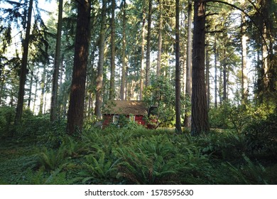 Church In The Grotto, Portland, Oregon