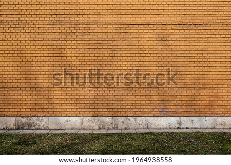 Similar – Image, Stock Photo window seat Plant Flower