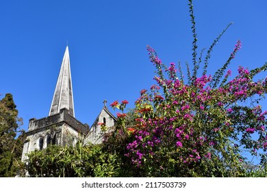 A Church Spire , Blue Sky And Bougainvillea Flower Tree