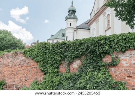 Church Tower Peering Above Ivy-Covered Wall