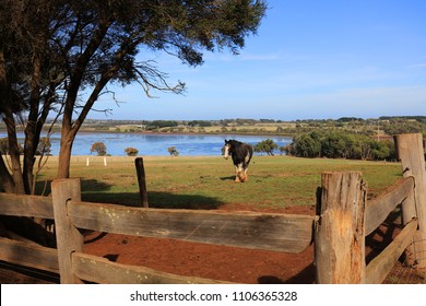 Churchill Island Farm