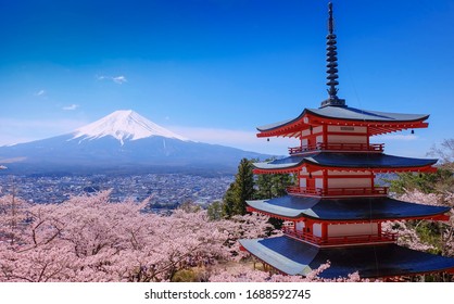 Chureito pagoda and fuji mountain view during cherry blossom season.