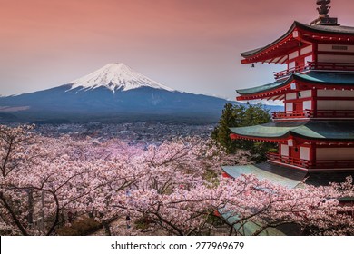 Chureito Pagoda With Sakura & Beautiful Mt.fuji View