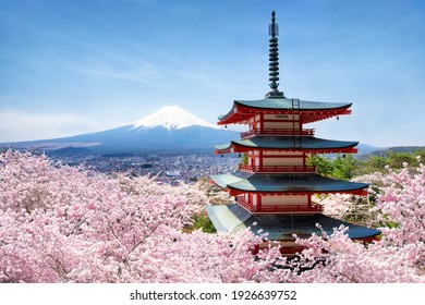 Chureito-Pagode und Fuji-Berg mit Kirschblütenbaum in der Frühjahrssaison