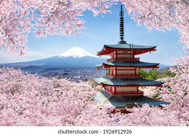 Chureito-Pagode und Fuji-Berg mit Kirschblütenbaum in der Frühjahrssaison