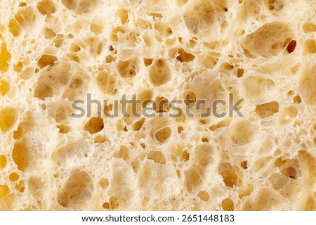 Ciabatta, sourdough bread texture macro shot. Close up. Copy space.