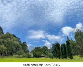 Cibodas National Park At Noon, Cibodas, West Java, Indonesia With Blurred Effect