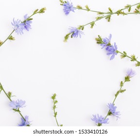 Cichorium Intybus の画像 写真素材 ベクター画像 Shutterstock