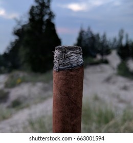 Cigar