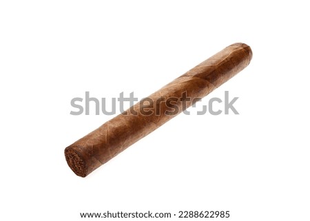 Cigar. Brown cigar handmade from real tobacco leaves. Photo with great depth of field. And with a lot of small details. Macro close-up. Cigars from Cuba Havana. White isolated background.