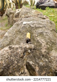 Cigar Burning On The Rock