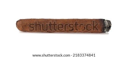 Cigar isolated on white background. Detail for design. Design elements. Macro. Full focus. Background for business cards, postcards and posters.