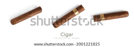 Cigar on white background. Cigar isolated. Tobacco. High quality photo