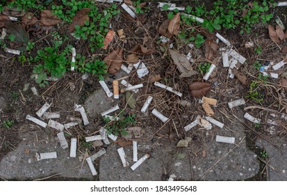 Cigaret buds on the sidewalk. Example of littering which has potential hazard during the covid-19 pandemic.
