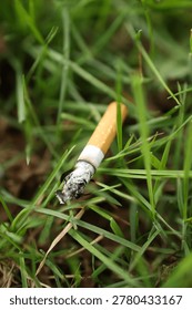 Cigarette butt discarded in green grass environmental concept