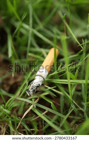 Cigarette butt discarded in green grass environmental concept