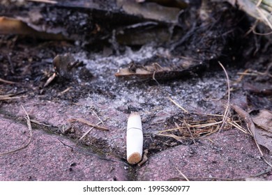 A Cigarette Butt Was Lying On A Floor With Ashes And Burn Marks In Front Of It.