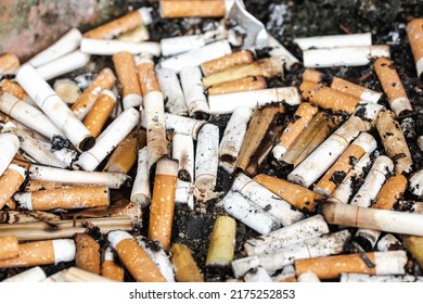 cigarette butts combined in a cigarette disc Concept of many cigarette debris after smoking