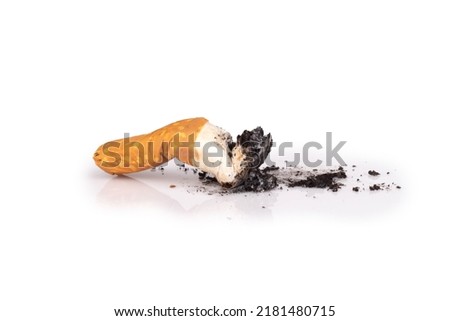 cigarette butts isolated on white background.